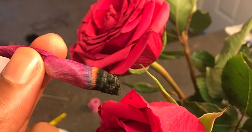 Weed Weekly tweet media