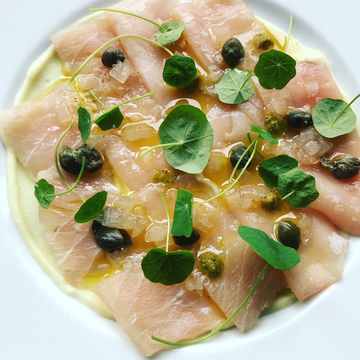 Here we go again! One more week <a href="/Restotapeo/">RestoTapeo</a> #tapas of the day Swordfish Ceviche #Open4Lunch <a href="/MunizMe/">Sebastien Muniz</a> <a href="/yugimtl/">Hugo Vincent</a> <a href="/mariefleur35/">Marie-Fleur</a> #ouichef