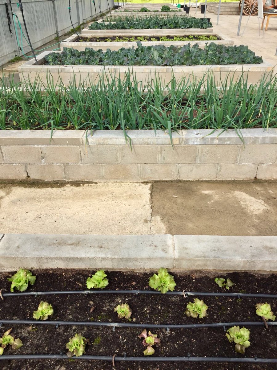 Dip_Va's tweet photo. .@Dip_Va comprometida con la #Eduación #Ambiental. 
Prueba de ello es el huerto ecológico plantado y cuidado por l@s alumn@s de diferentes colegios de #CyL y que ya va dando sus frutos en el CIN de #Matallana @turvalladolid @educacyl https://t.co/tQGt7UXjuH