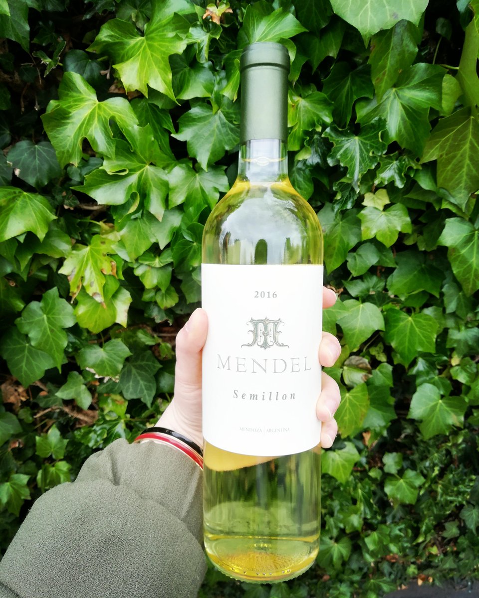 Latin Wines Online tweet media