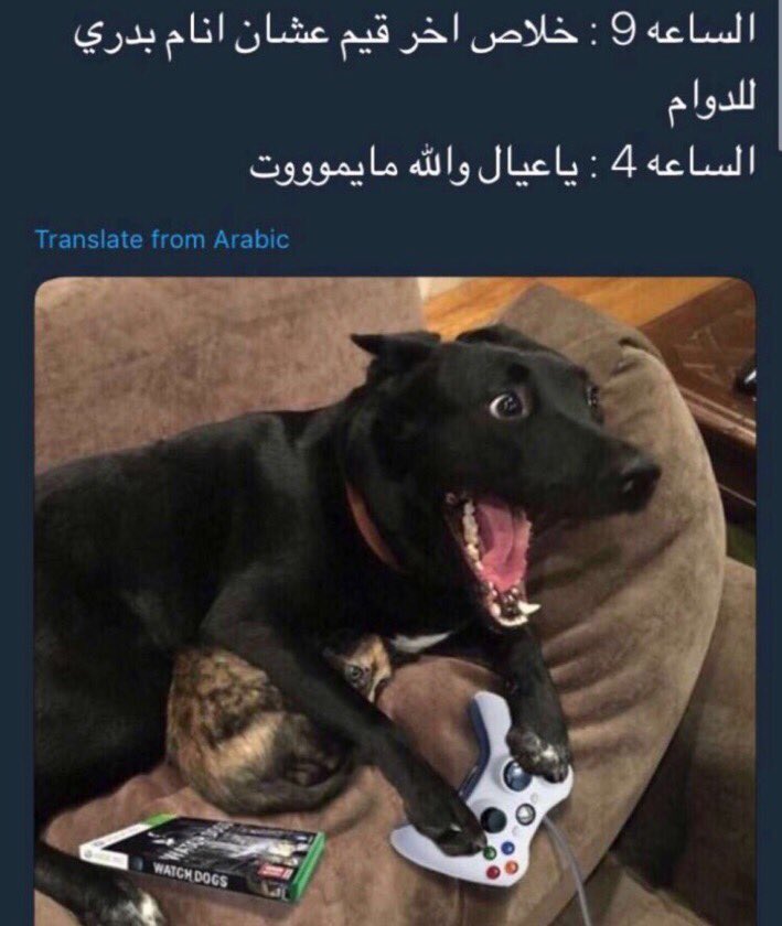 7mod123890's tweet photo. الله يقروش شركة fortnite على لعبتها https://t.co/K5i0l01wOv