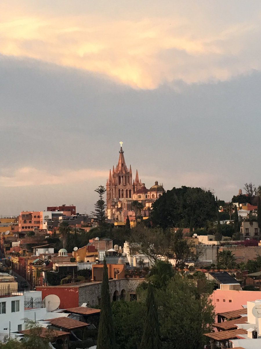 Julie Palo Hayes tweet media