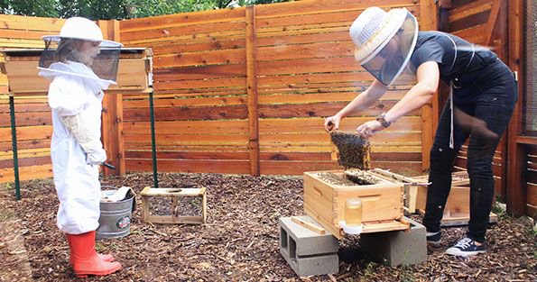 Got a kiddo fascinated by bees?!   In this class, kids (recommended ages 7-16) will learn about the important role honey bees play in our food system and how they go about making what we all love so much - honey!  buff.ly/2p2JG49