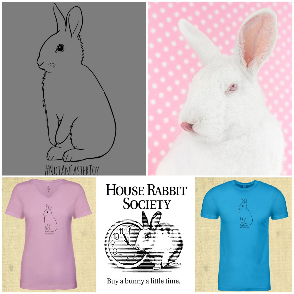 HouseRabbit's tweet photo. Don't forget- this week only! You can purchase this limited edition House Rabbit Society #NOTanEasterToy t-shirt in time for Easter through FLOAT! https://t.co/o7uJGcr7kV
$8 from each t-shirt is donated to House Rabbit Society! https://t.co/o9THNjfPLy