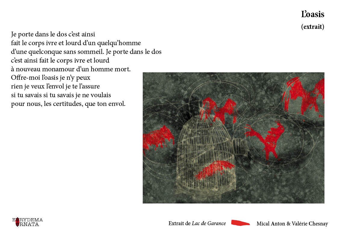 eurydema's tweet photo. Mical Anton en lecture les 24 &amp; 25 à l’Atelier des Vertus https://t.co/WsvUQOZvdR