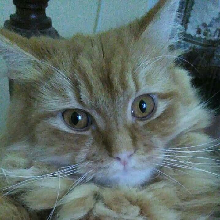 Mony27925815's tweet image. #صورة_ملف_شخصي_جديدة
#Mesho 💗💗💗