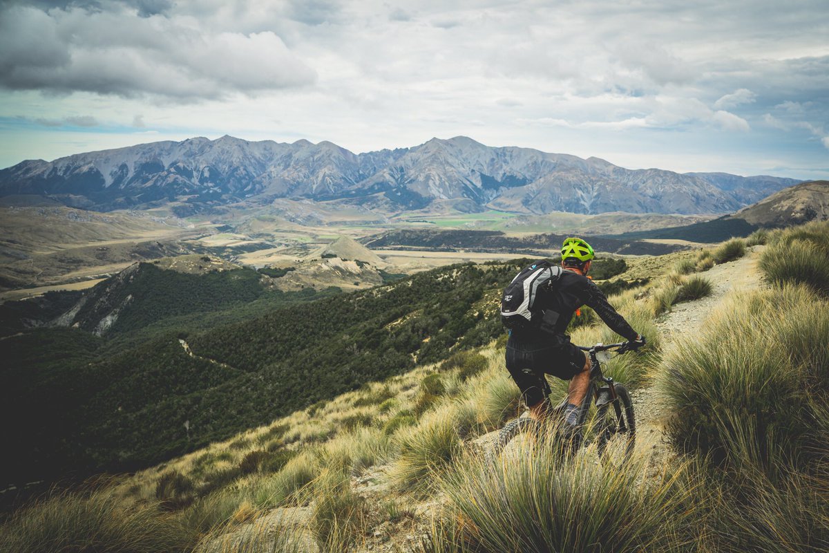 ReadyAimMedia tweet media