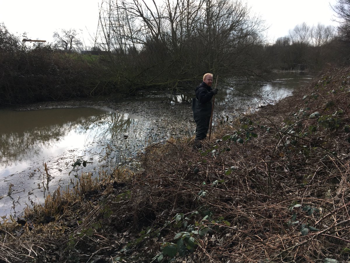 StonebridgeLock's tweet photo. Spent a good part of the day a shootin’ snaps & a huntin’ #watervole down the ol’ #RiverLea Diversion (home to only the bravest #biodiversity) #StonebridgeLock to #thePaddock #HaleWharf #TottenhamLock today with @etlawlor1 #lovewhereyoulive #shapeyourriver https://t.co/BzL4pamJnr