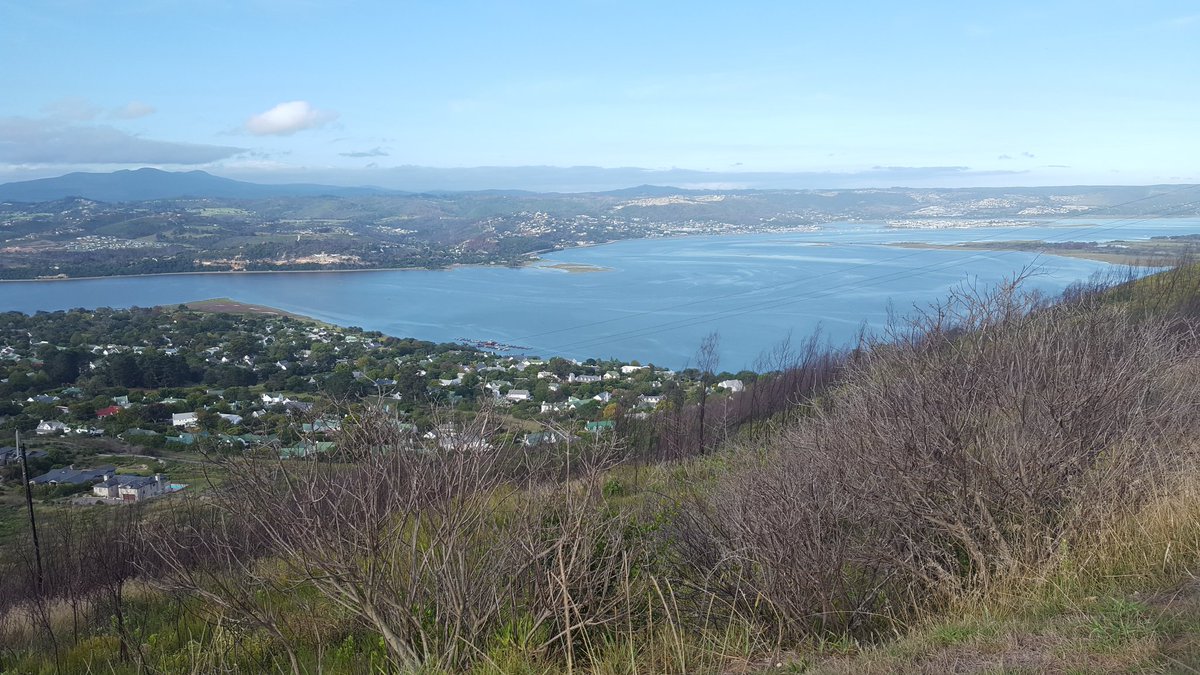 We are convinced the Netherlands/#Belgium tour operator fam trip is enjoying their #Knysna houseboat stay. #SaveWater by jumping in the #lagoon instead of taking a shower! #WaterWiseTourism