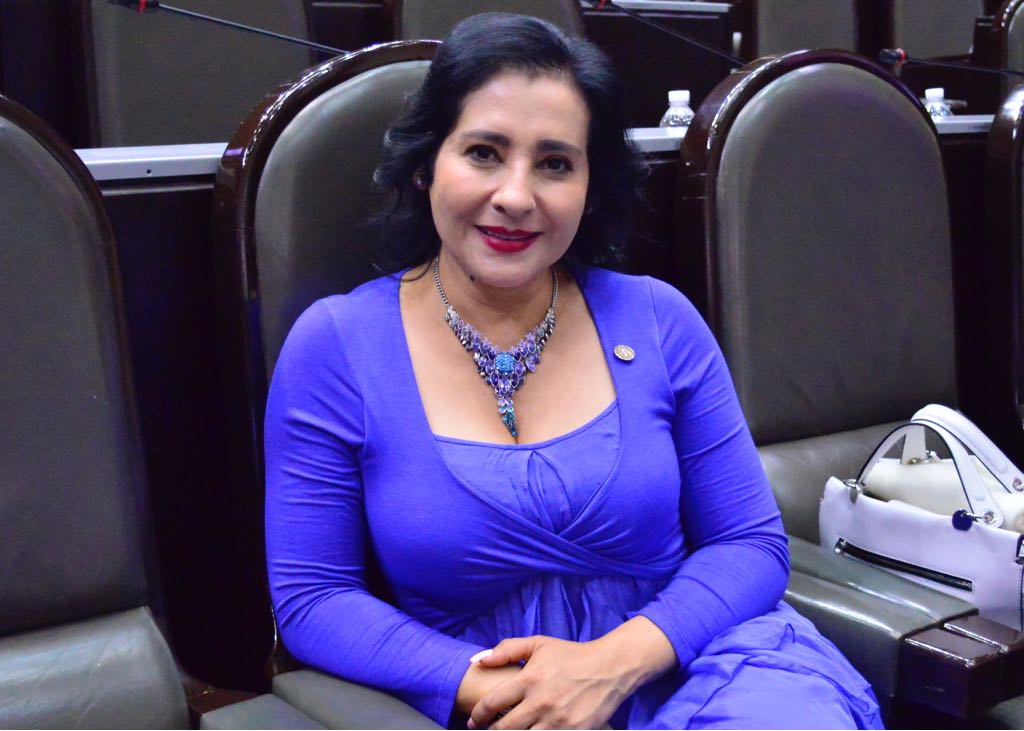 AngelicaReyes_A's tweet photo. ¡Buenas tardes, amigos! Hoy tenemos 8 Dictámenes a discusión en @Mx_Diputados. Los invito a seguir nuestra labor:  https://t.co/nLllX7oJCo https://t.co/MgFVWAgK1A