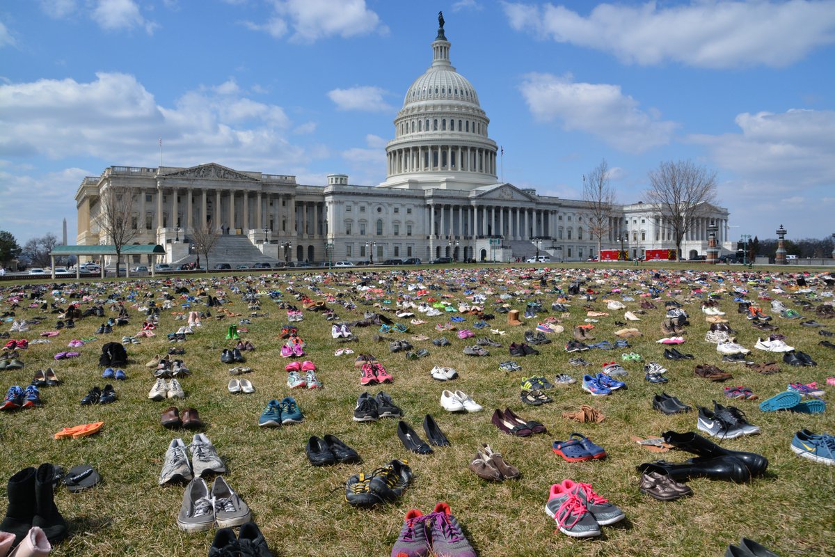 Pairs of shoes arranged in rows across the lawn beside the Capitol building