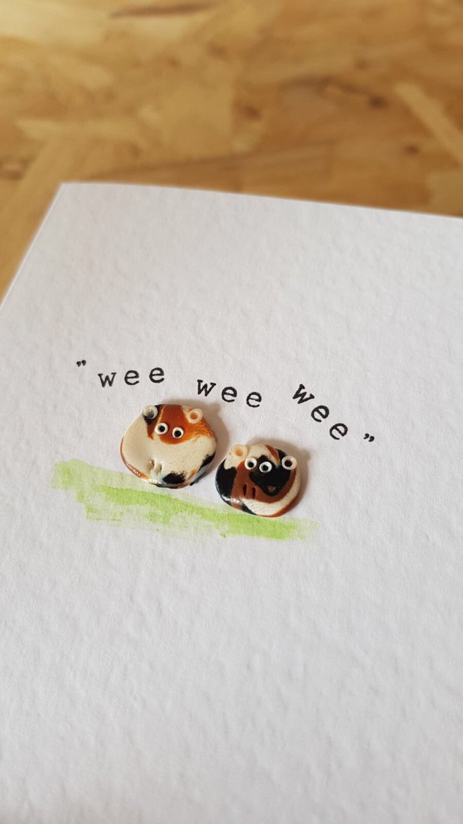 Calling all Guinea pig lovers - New handmade cards for sale on my Etsy shop etsy.com/uk/shop/KateKr… #guineapig #guineapigsoftwitter #etsy #handmade