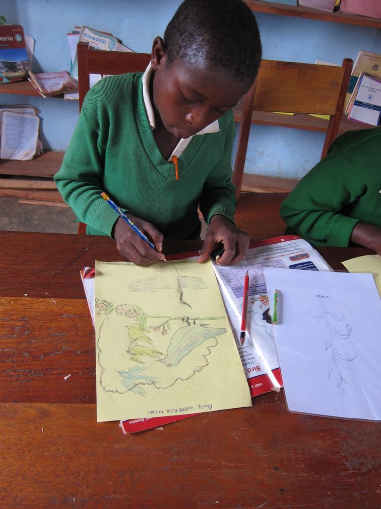 LESCOTATanzania's tweet photo. Thanks so much our partner organisation @TETEA_Inc for supporting our library project in a rural Matekela primary school. Our students are drawing awesome pictures from their minds in our LESCOTA community library. #library #qualityeduaction #drawingchallenge https://t.co/2gDyogaW6h