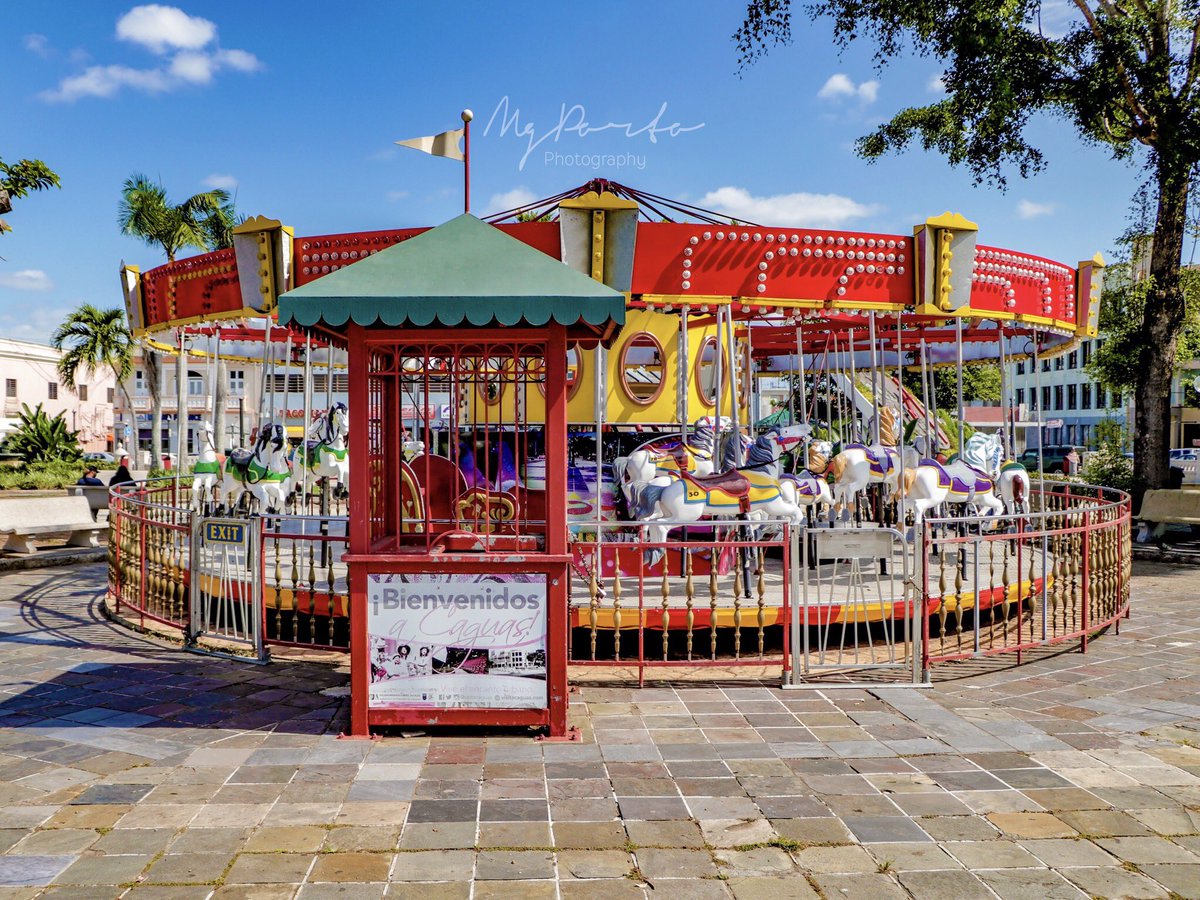 MgPorto_'s tweet photo. Carrusel 🎠📸 https://t.co/WaF9UXU6nI