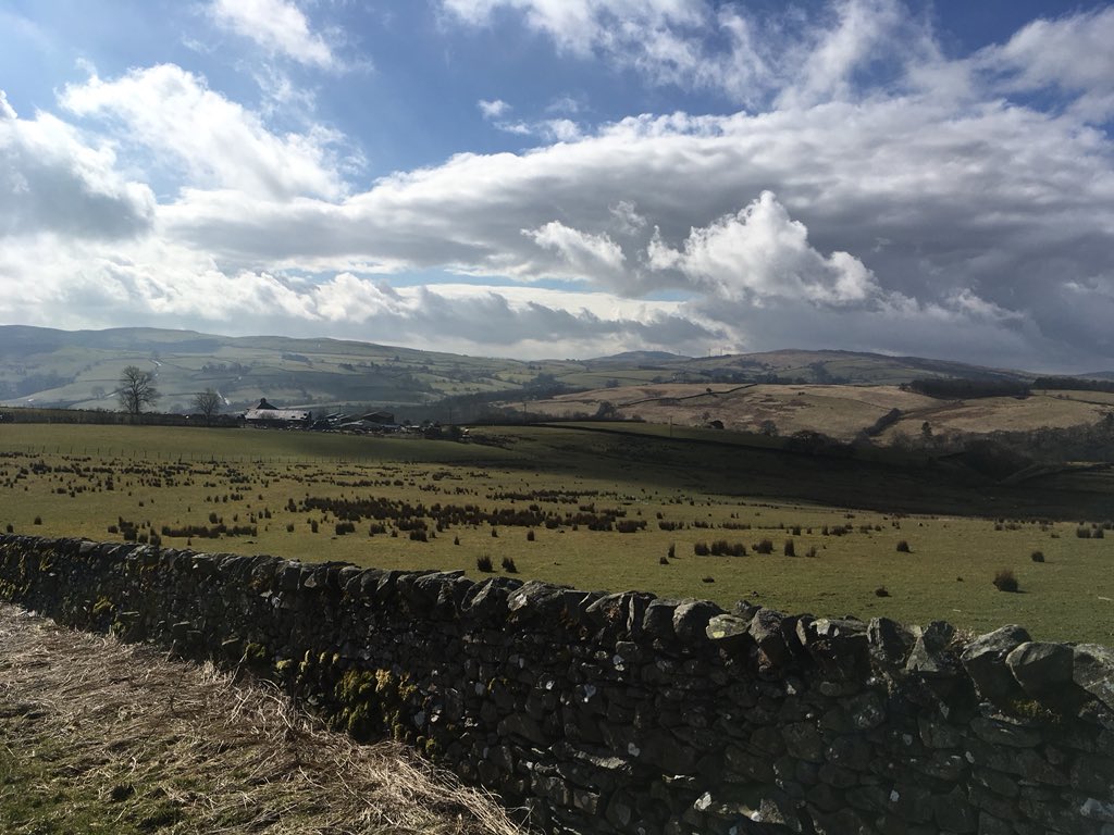 Out There SouthLakes tweet media