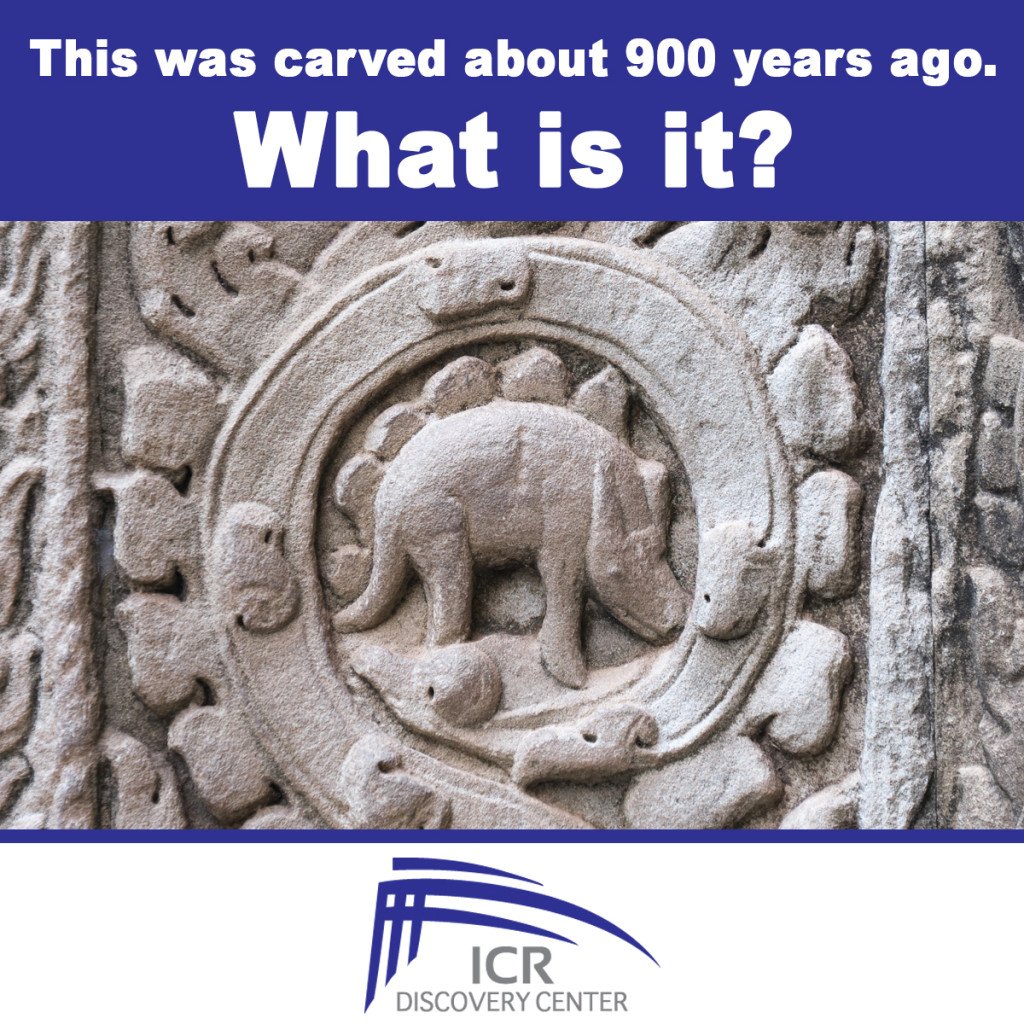 ICRdiscovery's tweet photo. This was carved on a Cambodian temple about 900 years ago. What is it? (Post your guess and tag a friend.) https://t.co/wGKyrxsryD