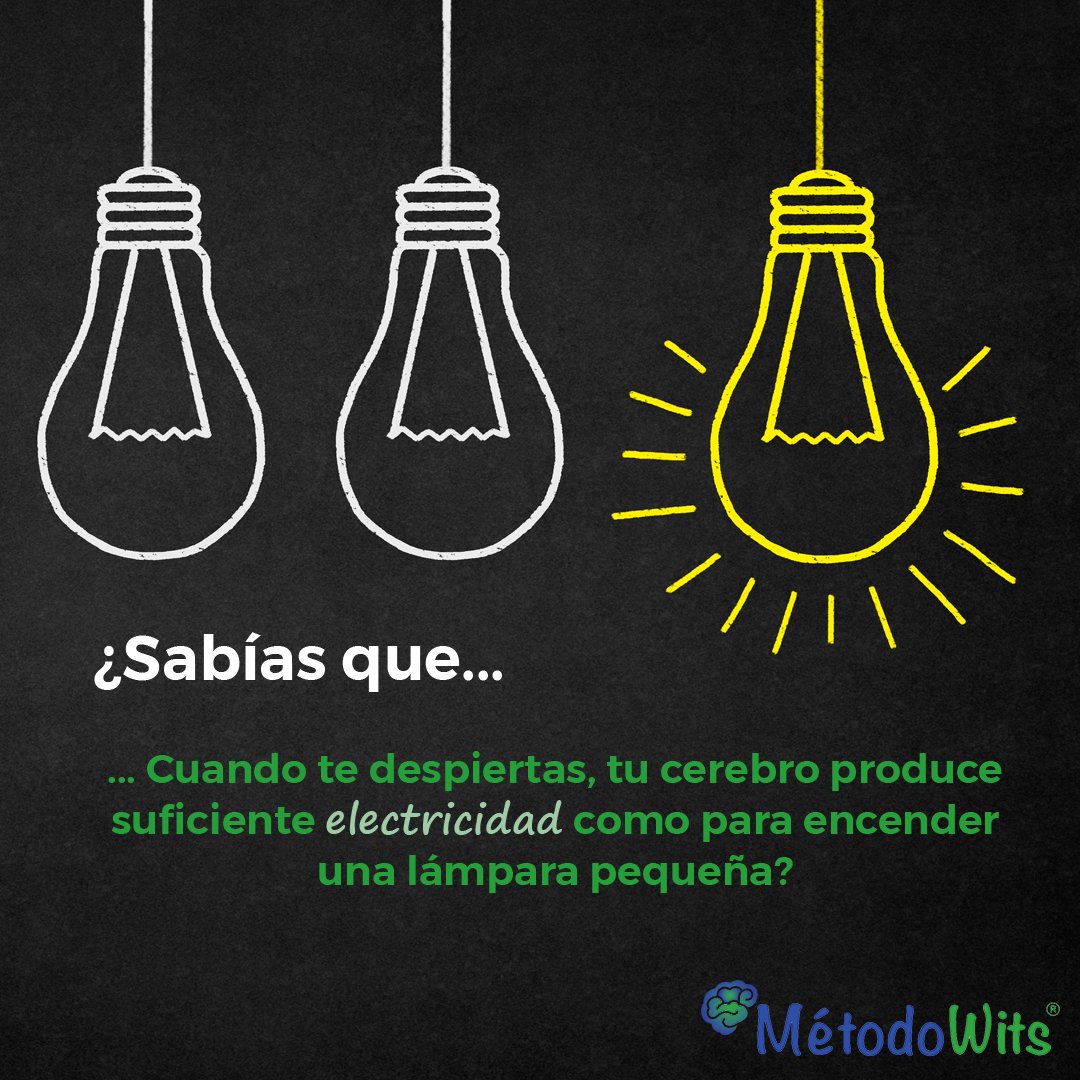 MetodoWits's tweet photo. ¡Curiosidad del día! Aunque no tenga ningún cable… ¡Nuestro cerebro funciona con electricidad!

#Desafiate#MetodoWits#MetodoNovedoso#MetodoInnovador#Aprendizaje#atencion#concentracion#memoria#biofeedback#oposiciones#oposicion#examen#entrenamientocerebral#cerebro#prueba https://t.co/KP0Ox0Twnd