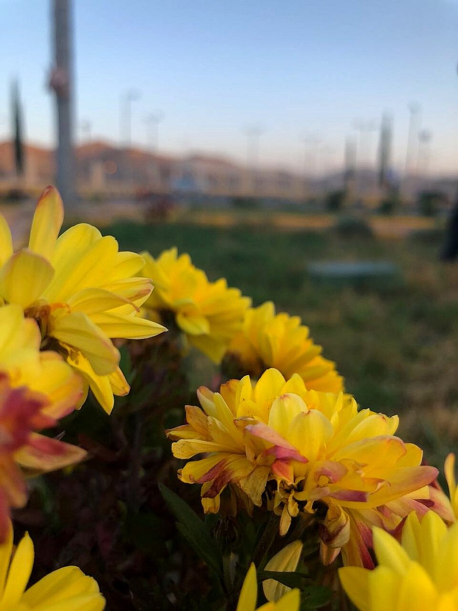 tvtc_g_missan's tweet photo. من إبداع متدربي مبادئ التصوير الفوتوغرافي ضمن برنامج #أُتقن بإشراف ومتابعة المهندس عبدالله الشلوي https://t.co/62b4GKpR9F