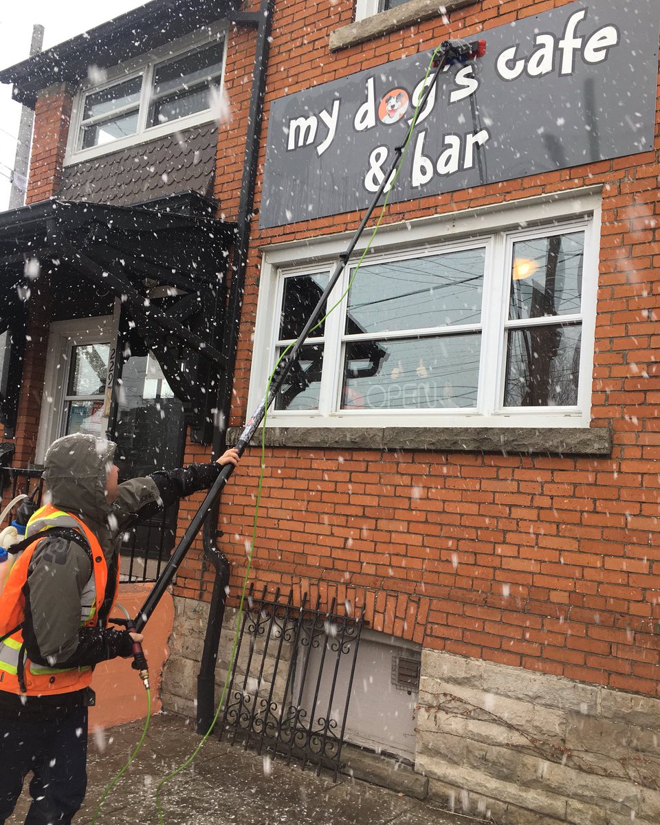 MyDogsCafe's tweet photo. Workladโs Alexander came by our dog cafe today to finish cleaning our egged sign and even do the rest of our windows! We are blown away by such kindness. #worklad #windowcleaning #HamOnt #dogcafe #mydogscafe #lockestreet @LockeStShops #dogsallowed https://t.co/9uNoHeD5TY