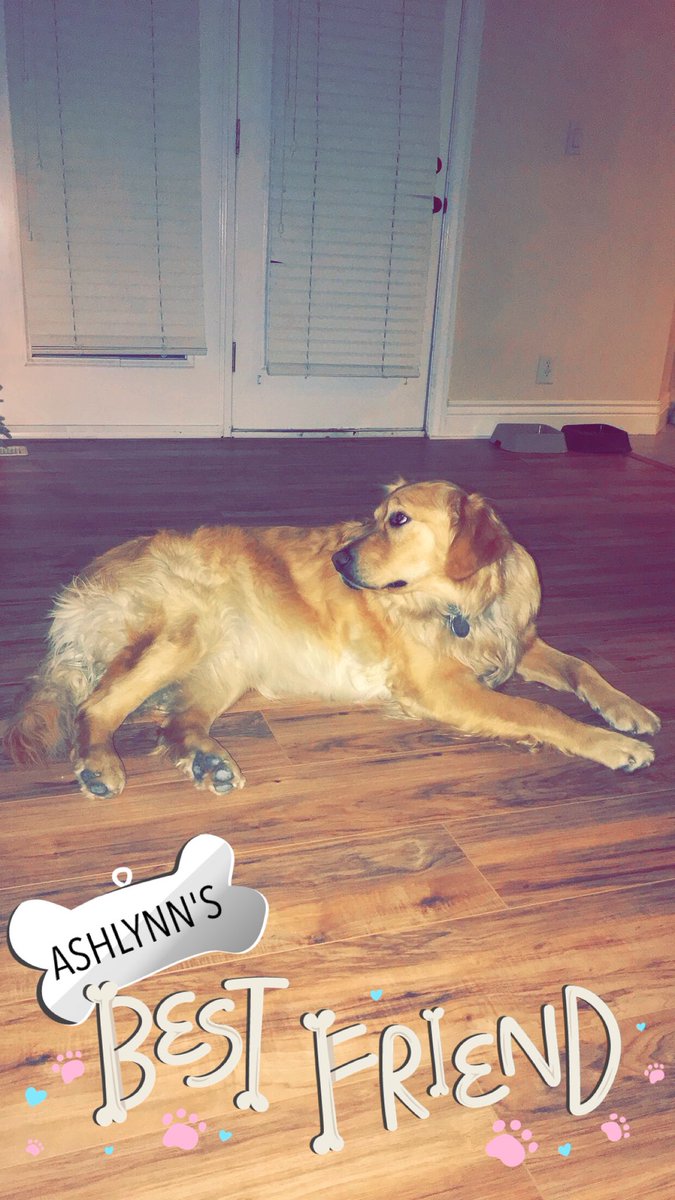 ashlynn048's tweet photo. Also here are some pics of Rex. https://t.co/gA4IrU3Jgp