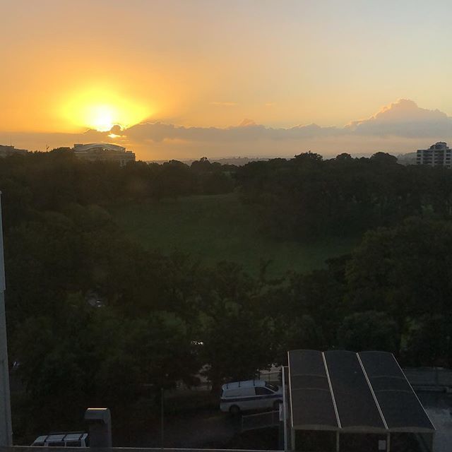 sjcnz's tweet photo. Ahhh the beautiful domain. Yes that’s right people it’s treatment day! #roomwithaview #multiplesclerosis #sjfightsms #tysabri https://t.co/igQZURflYi