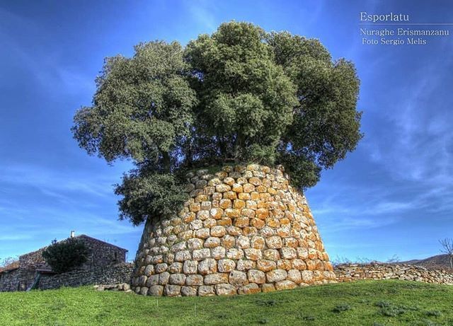 arkeosardinia_'s tweet photo. Avete mai visto un nuraghe con un giardino pensile al suo interno? Si trova ad Esporlatu, in provincia di Sassari, ed è il nuraghe Erismanzanu, noto anche come nuraghe Tarasconis. Immerso nei pascoli verdeggianti della regione storica del Goceano, il nur… https://t.co/GPAay6GSQL https://t.co/VpRXWMRfxt