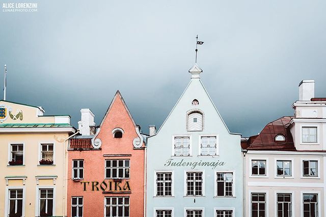 AliceLorenzini's tweet photo. Details from Tallinn -
-
-
#liveforthestory
#iamonordic
#folkscenery
#earthofficial
#folkvibe
#vibesofvisuals
#themoderndayexplorer
#wanderlust
#liveauthentic
#moodygrams

#thisweekoninstagram
#theartysts
#ourplanetdaily
#roam10k
#mytinyatlas
#ourplanetd… https://t.co/0hTHdqZJGb https://t.co/Dx0L18GCSm