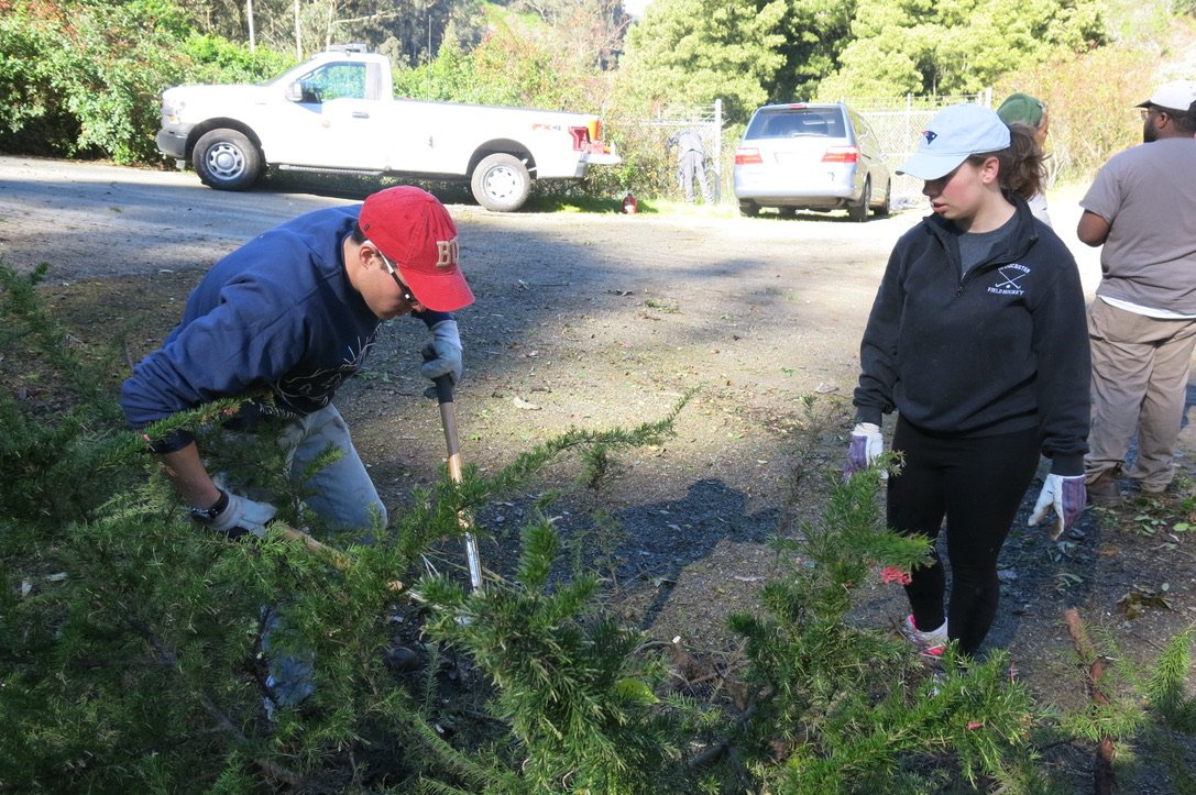 SFGardenProject's tweet photo. Thank you @BUASB for volunteering with us again this year! https://t.co/f4sqYdwvy5