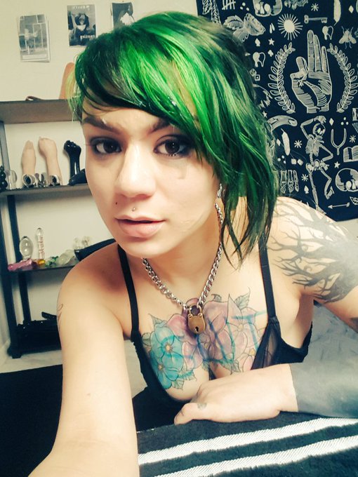 Great first show of the day! See you in a few hours, and thank you to my mod @Dr_WhoTMNTfan https://t