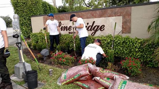 joshuablood98's tweet image. This was a great working the #Memorytrees. I pick the peppers and doing the mulching with @JoelBlood2 and Ruiz Reese.
