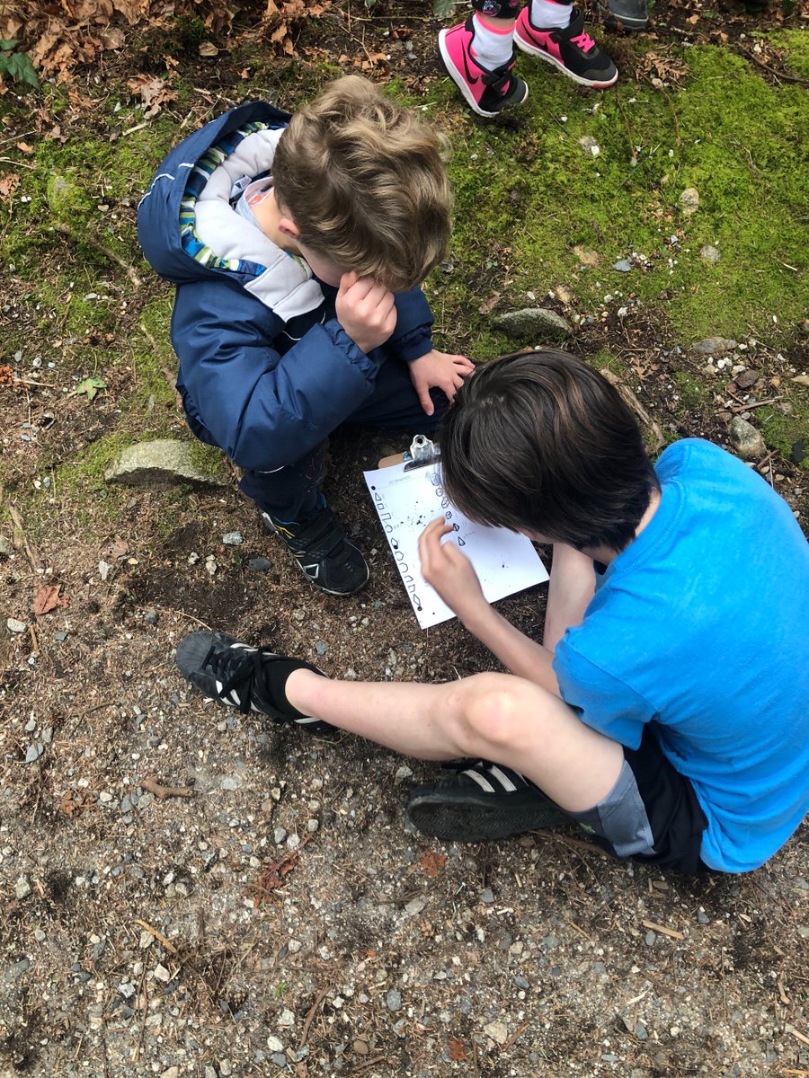 KaitlynHamner's tweet photo. Learning together - grade 3/4s and their K buddies explored the forest searching for shapes! So great to see my sts passing down their knowledge https://t.co/HkOC3cI35C