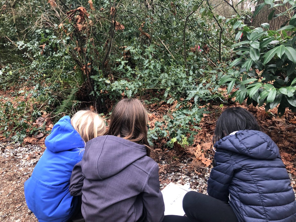 KaitlynHamner's tweet photo. Learning together - grade 3/4s and their K buddies explored the forest searching for shapes! So great to see my sts passing down their knowledge https://t.co/HkOC3cI35C