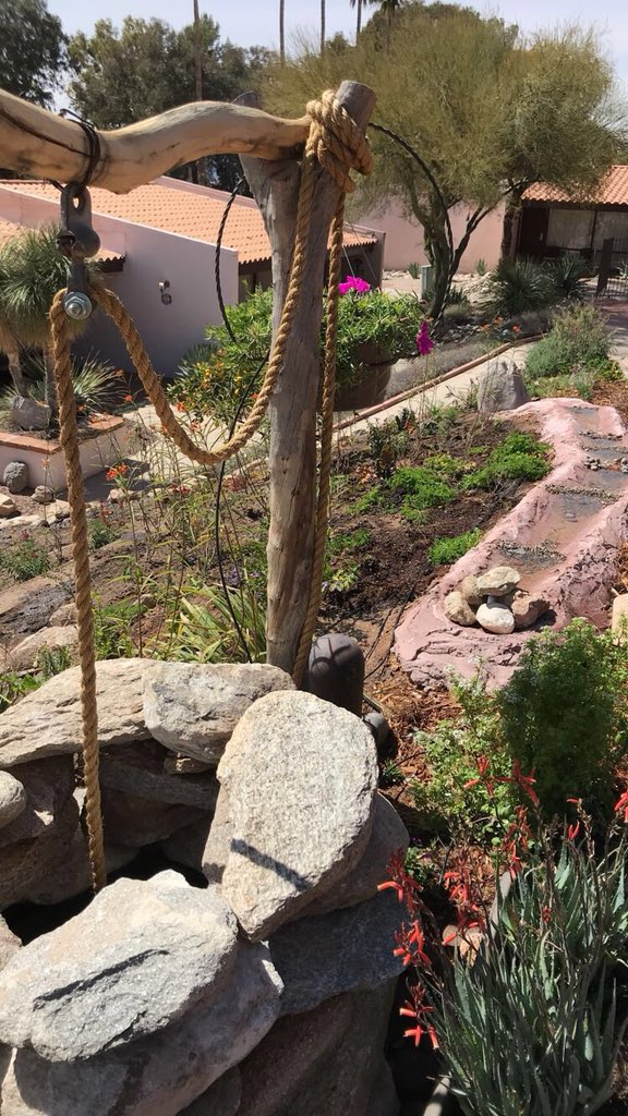 Westward_Look's tweet photo. Summer is on the way! That means different kinds of plants are starting to flourish and bloom! Raymundo and his team transformed this spot near the Main Pool into an interactive garden! Come watch as butterflies and humming birds fly all around. https://t.co/Mt3q9ZEBpv