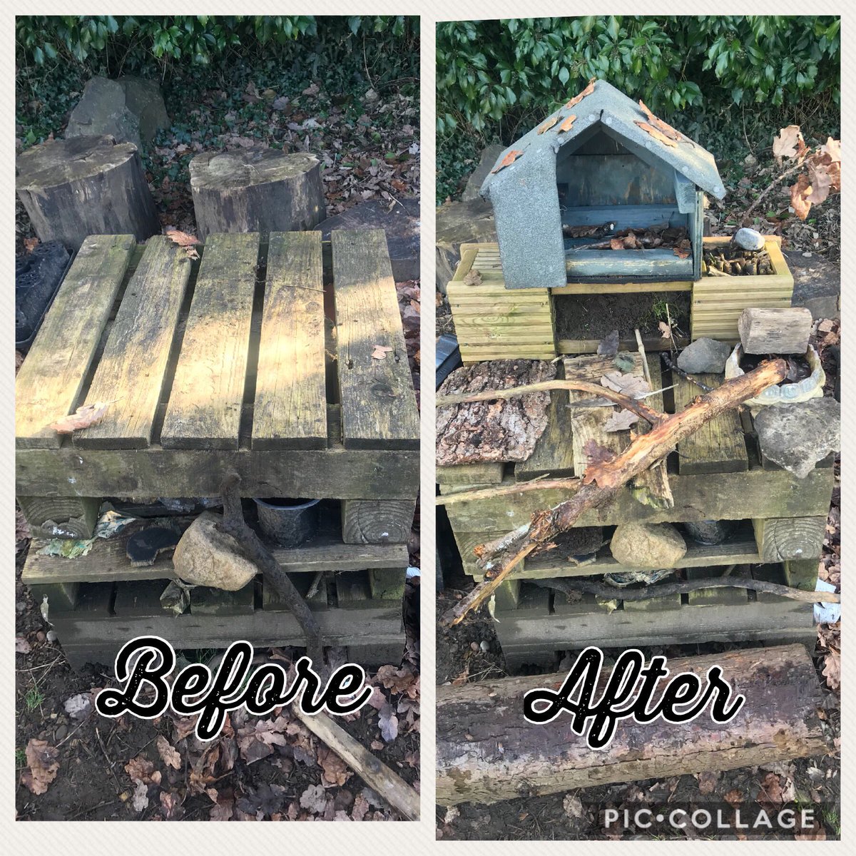 Miss Cecen tweet media