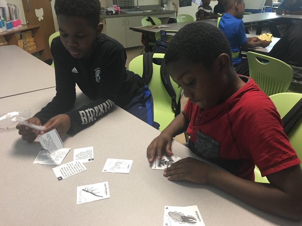 MrsQuadagnoTCS's tweet image. #TCSscience Adaptation card sort... match the adaptation to the correct organism! #Adapations #5thlearning #5thscience