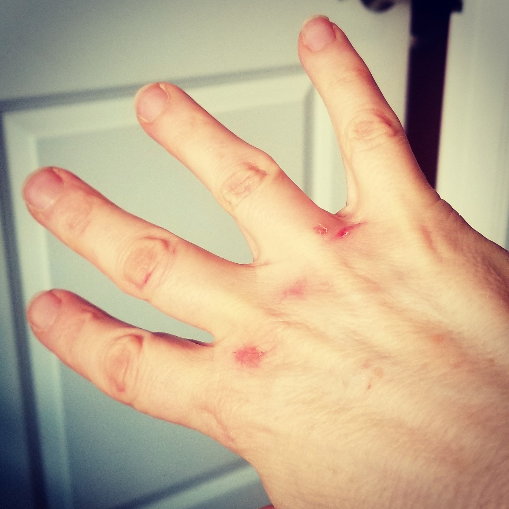 Is It Bad To Use A Punching Bag Without Gloves? Quora atelieryuwa