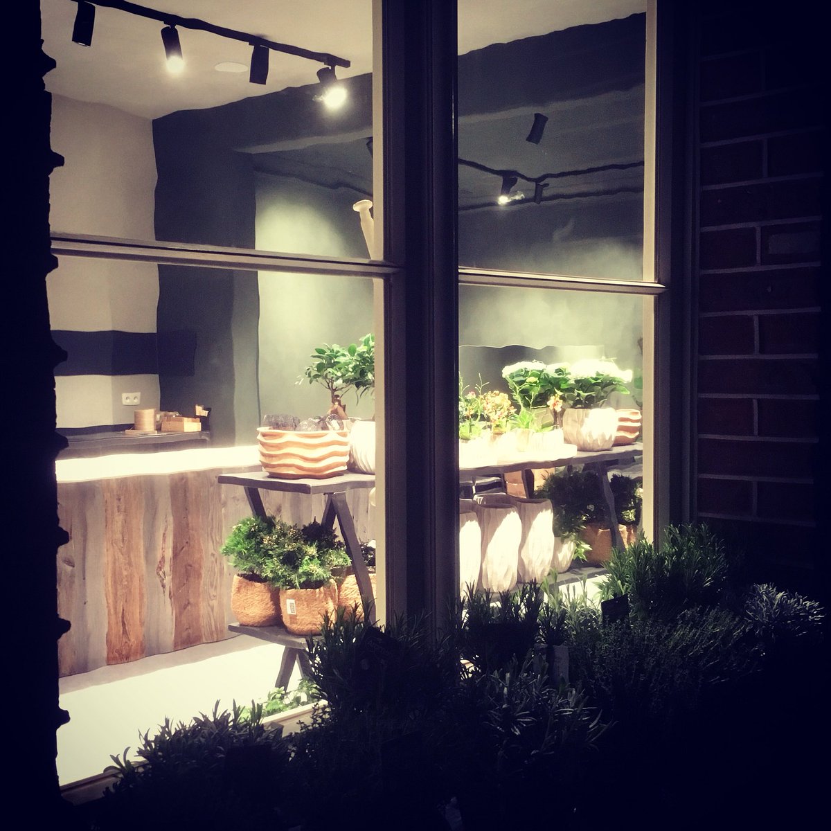 DomusFlorum's tweet photo. Onze nieuw zaak is open vanaf donderdag #sneakpeek #flowershop #urbanplantshop https://t.co/OTG0Gq9kaW