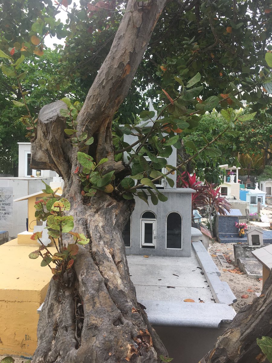 TravelingMoe's tweet photo. #mexico #sacredspaces https://t.co/8pejz5TlZC
