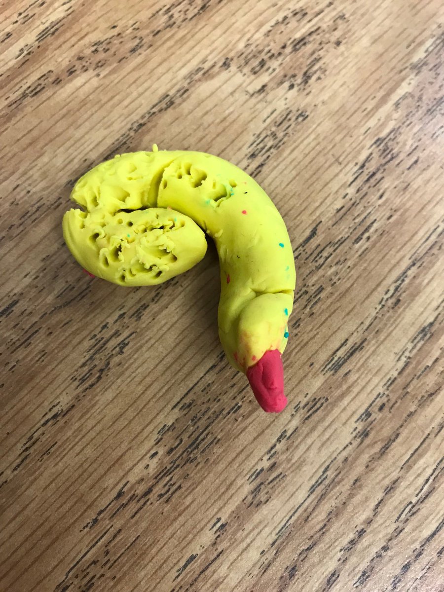 Learning about the life cycle of a mosquito <a href="/GPESpbc/">Grove Park ES</a> <a href="/21stCCLCPBC/">Palm Beach County Schools 21st CCLC</a>