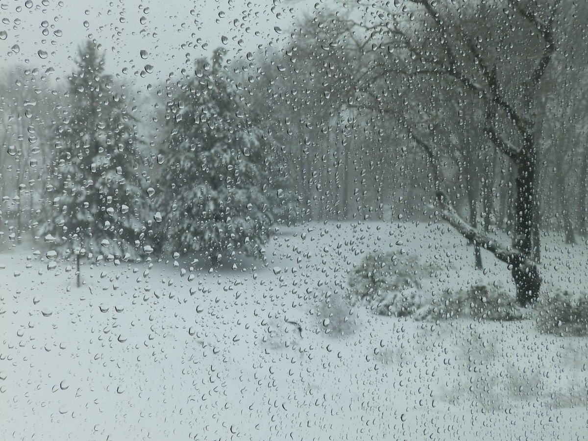 sarahrandallssm's tweet image. Noon office hymn: "The golden sun lights up the sky..." I did not laugh in chapel.  #blizzard #conventlife #nunhumor #ssmduxbury