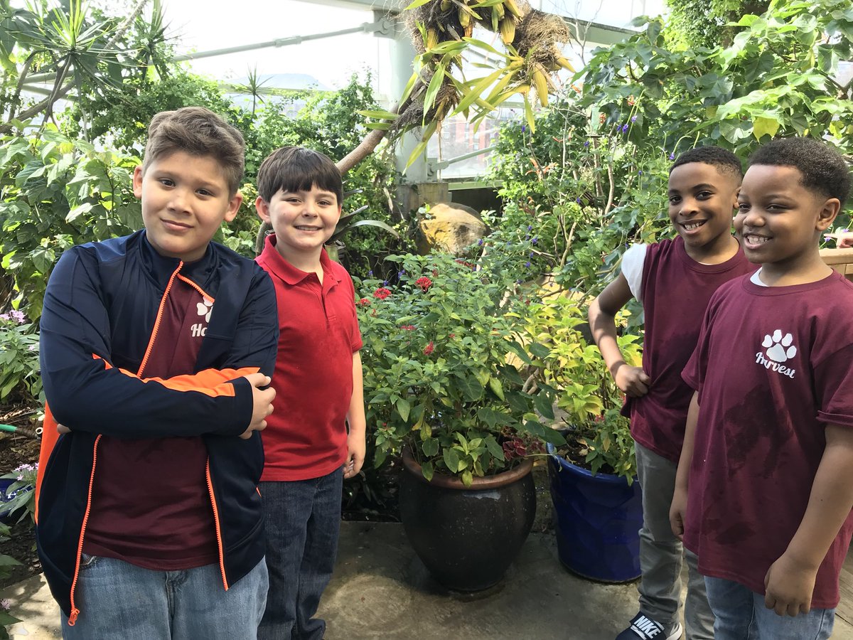 mrs_sknight's tweet photo. Chattanooga Aquarium with Harvest Elementary 3rd Grade! Making adventures that last a life time! #BeBoldMCSS #AdventuresIn3rdGrade @fryans3 @HarvestElem https://t.co/wrkqyWn4oR