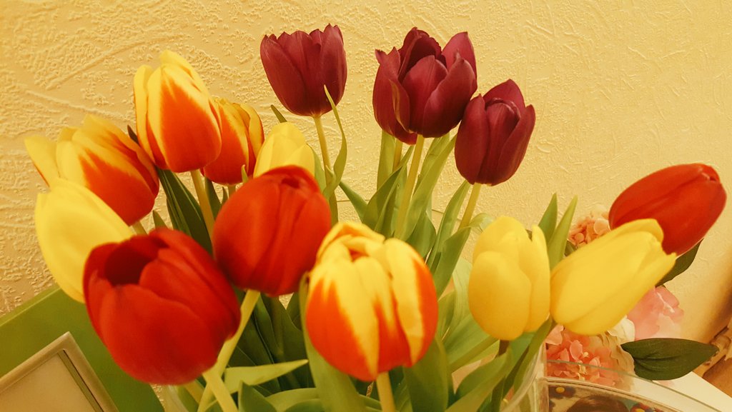 Thesz19's tweet photo. MumSday❤ https://t.co/r3WE3wNR6o
