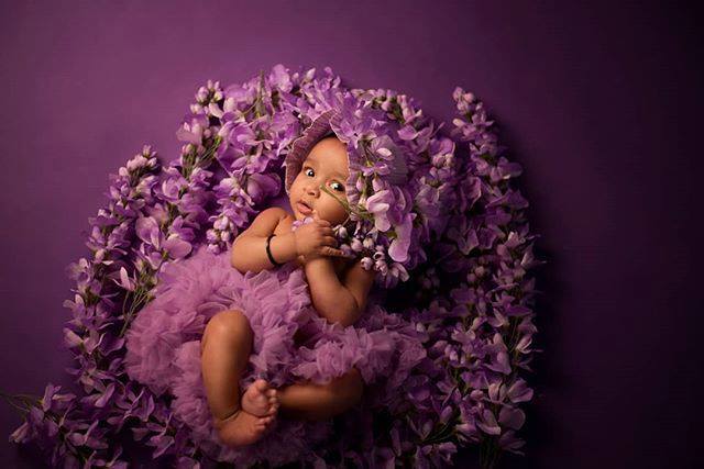 ProfoundDreams's tweet photo. Hi there 💕 . . . . . #profounddreamsphotography #profounddreams #cameramama #purple #flowers #welcomspring #cantwaitforspring #flowers #inspiredbycolour #inspired_by_colour #torontofamilyphotographer #torontonewbornphotographer #newbornphotography #c… https://t.co/0Wfos3hvSU https://t.co/WxyneF6DvB