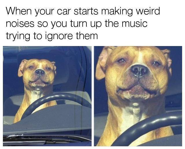 KingsAutoOP's tweet image. Picture Credit: Car memes facebook page