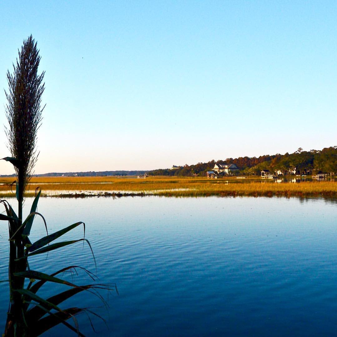 WCSmithIV's tweet image. Marsh side #pawleysisland #lowcountry #exploresc #discoversc #southernliving #marsh