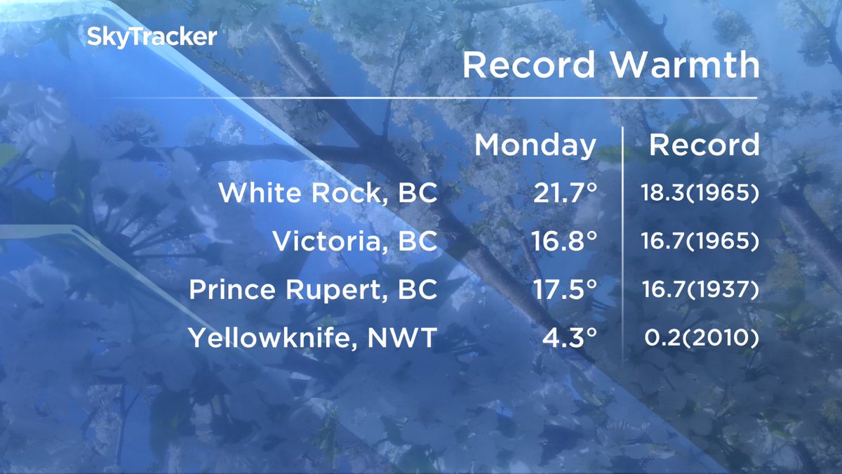 Anthony Farnell tweet media