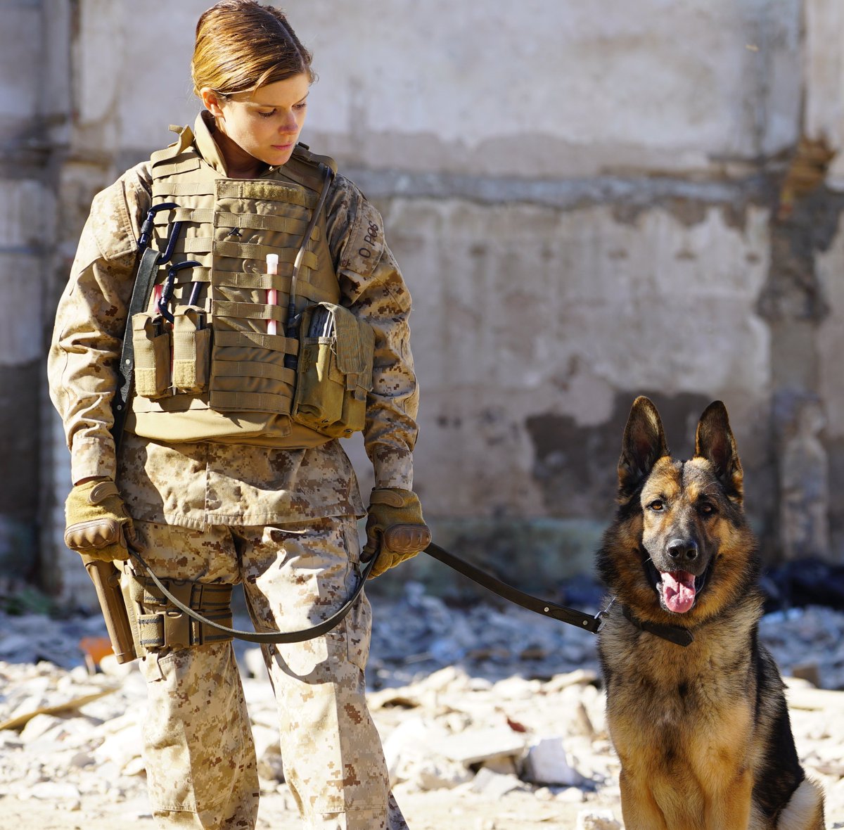Megan Leavey HD