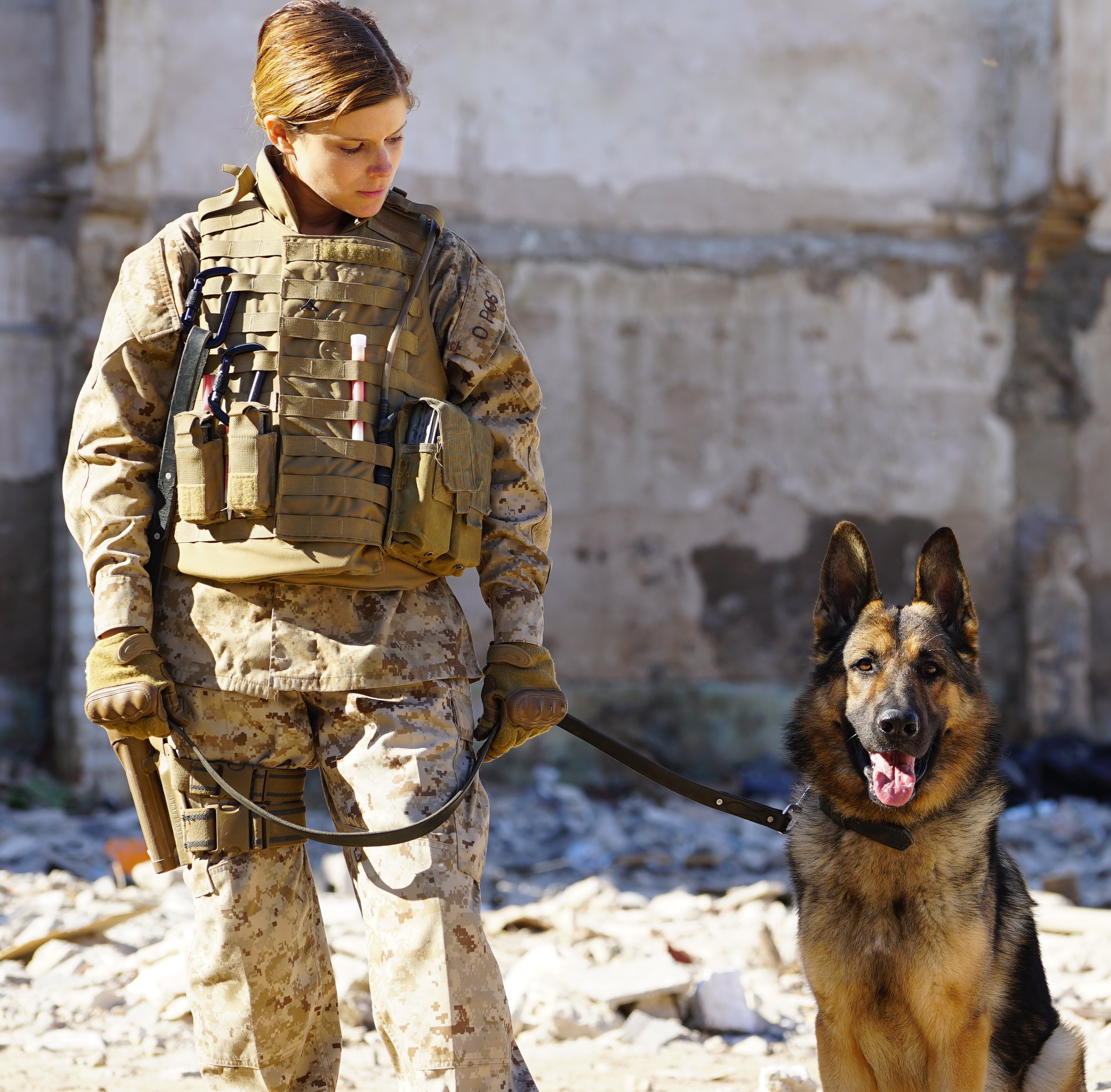 Megan Leavey Movie on X: This #K9VeteransDay, we're honored to