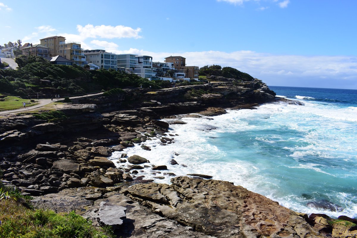 LanguageAdvance's tweet image. The Bondi to Bronte walk never gets old! Awesome! 

#languageadvance #culturalimmersion #culturalexchange #tesol #english #wanderlust #schooltravel #schoolgroup #studytour #Sydney #sydneylocal #visitnsw #nsw #australia #seeaustralia #seagull #sydneyharbourbridge #bonditobronte