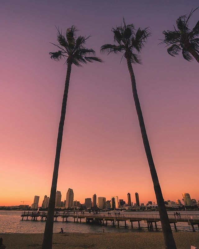 TimberBlvd's tweet photo. Dream higher than the sky and deeper than the ocean #timberblvd
———————————————————
📷  Photo Credit : @erubes1
———————————————————
Hashtags
#inspiration #inspire #motivation #life #passion #happiness #success #motivationalquotes #goals #positivity #d… https://t.co/0gCUrzDqPh https://t.co/EtEOEiK9NK